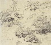 Thomas Gainsborough, Study for a Foreground,a Bank with Weeds and Thistles
